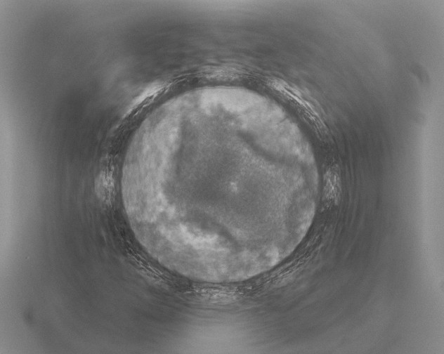 X0000115431254200912161427