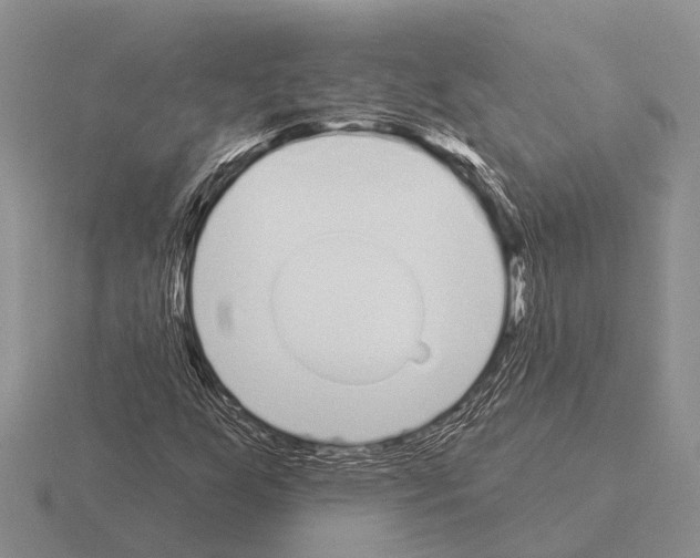 X0000115431255200912161427