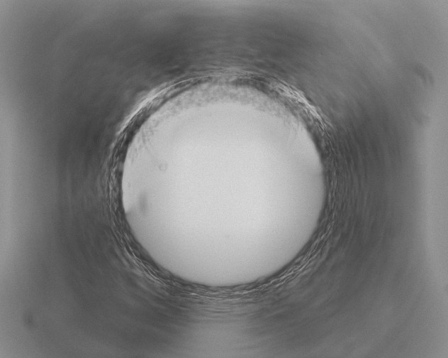 X0000115431256200912161427