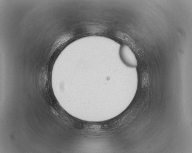 X0000115431261200912161427