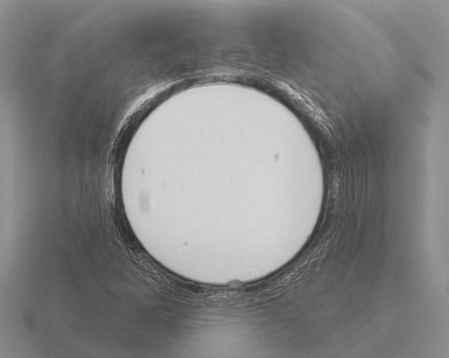 X0000115431262200912161427