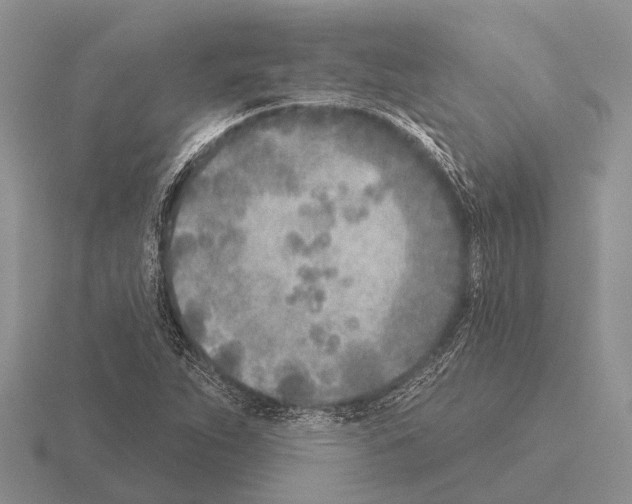 X0000115431263200912161427