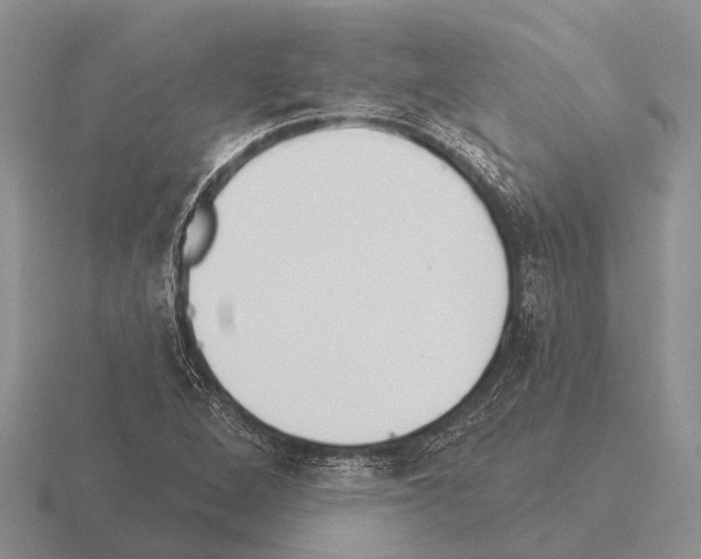 X0000115431264200912161427