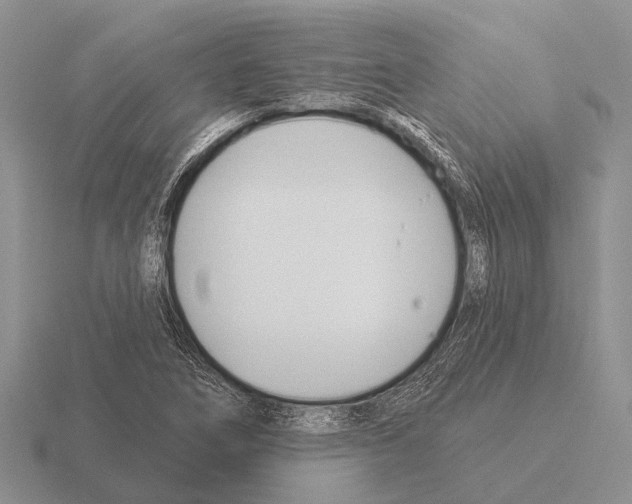 X0000115431266200912161427