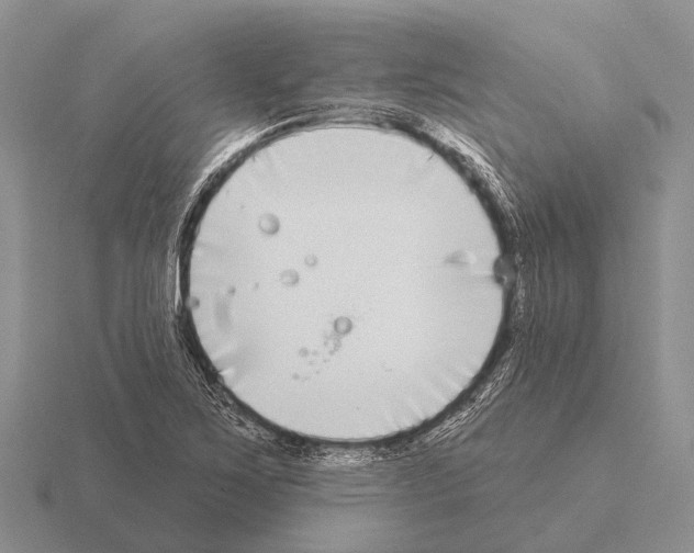 X0000115431267200912161427