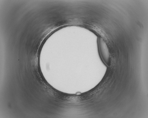 X0000115431268200912161427