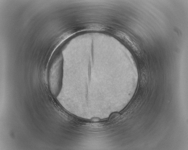 X0000115431276200912161427