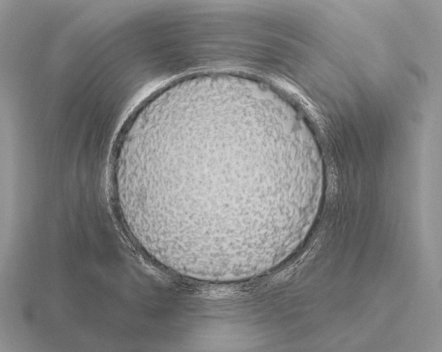 X0000115431278200912161427