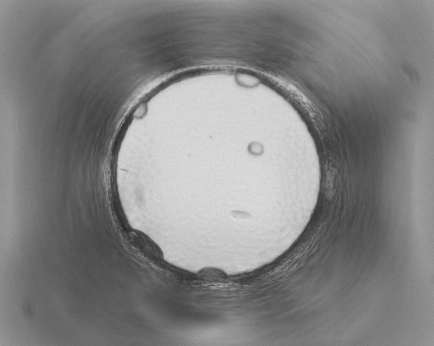 X0000115431279200912161426