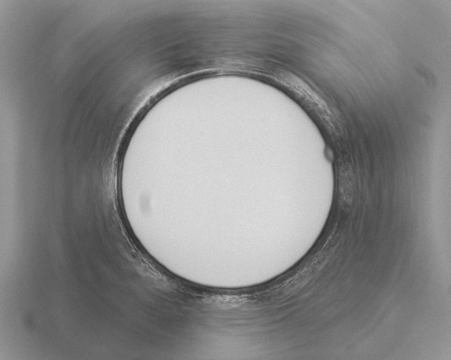 X0000115431280200912161426