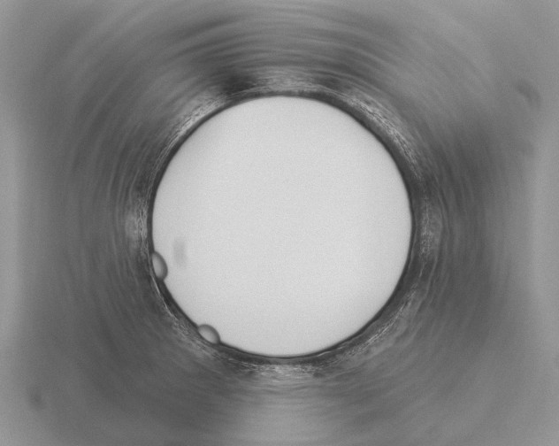 X0000115431281200912161426