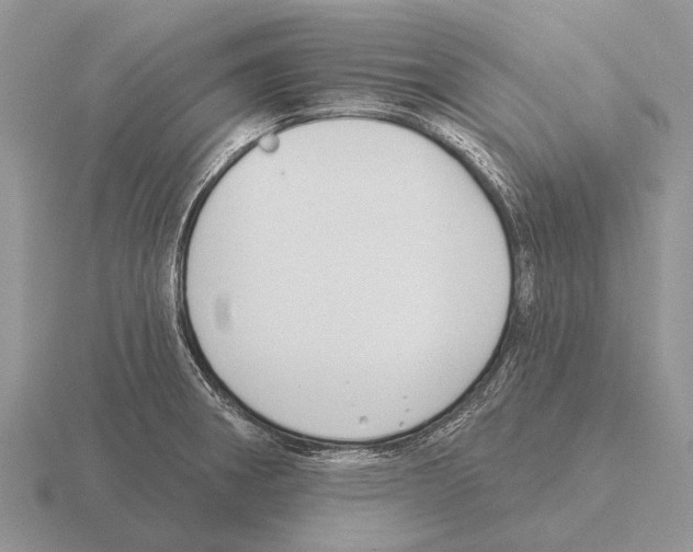 X0000115431282200912161426