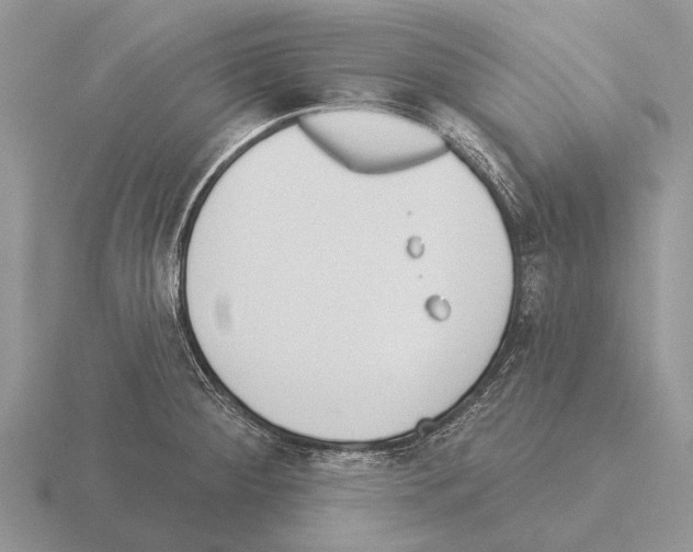 X0000115431284200912161426