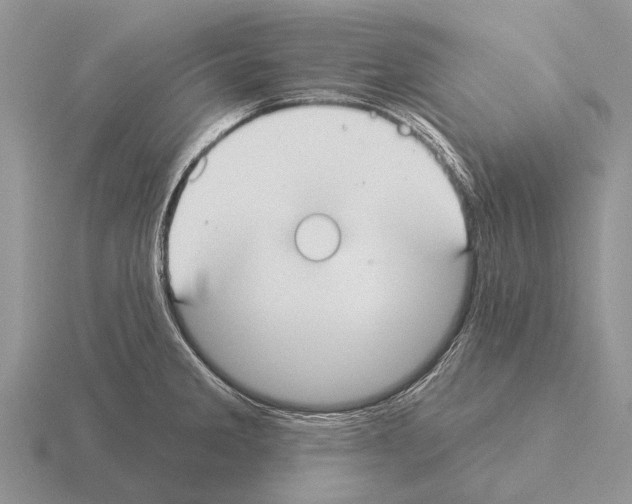 X0000115431285200912161426