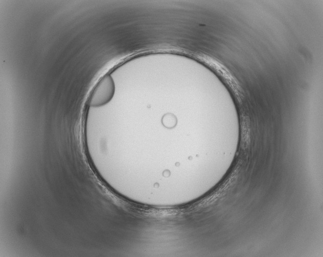 X0000115431286200912161426