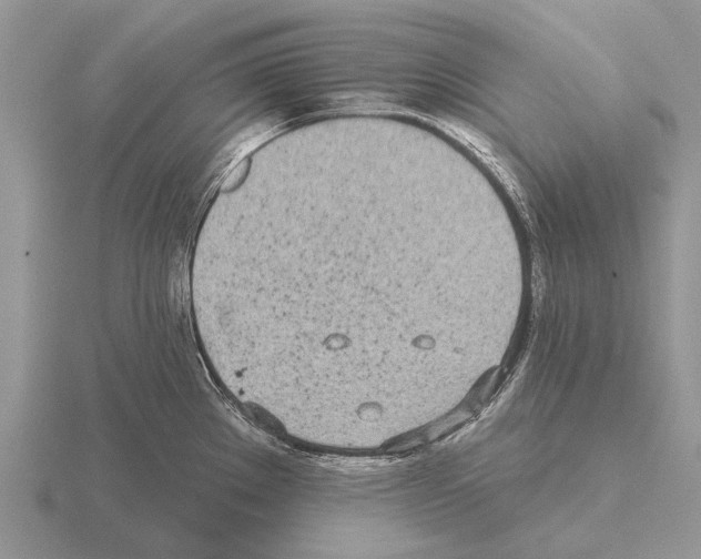 X0000115431289200912161426