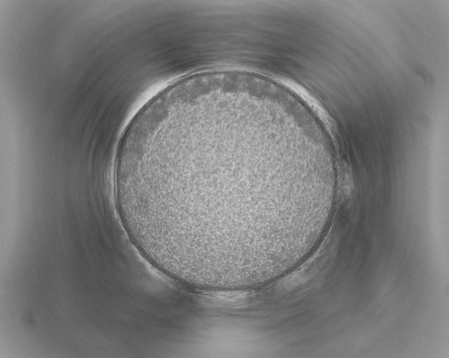 X0000115431294200912161426