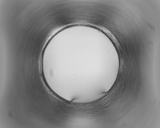 X0000115431295200912161426