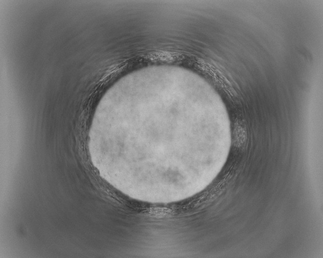 X0000115431297200912161426