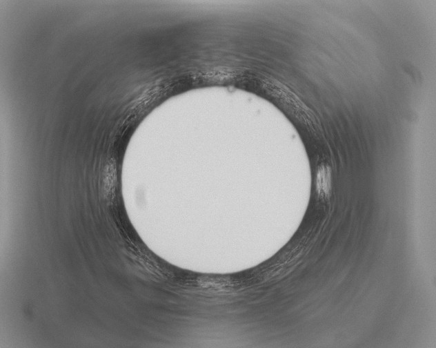 X0000115431299200912161426