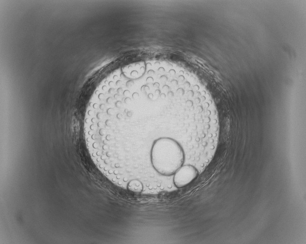 X0000115431302200912161426