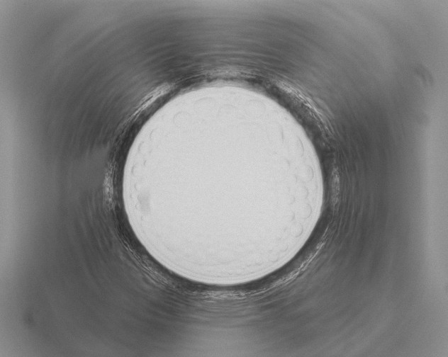 X0000115431305200912161426