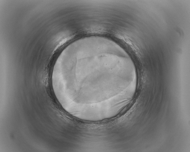 X0000115431306200912161426