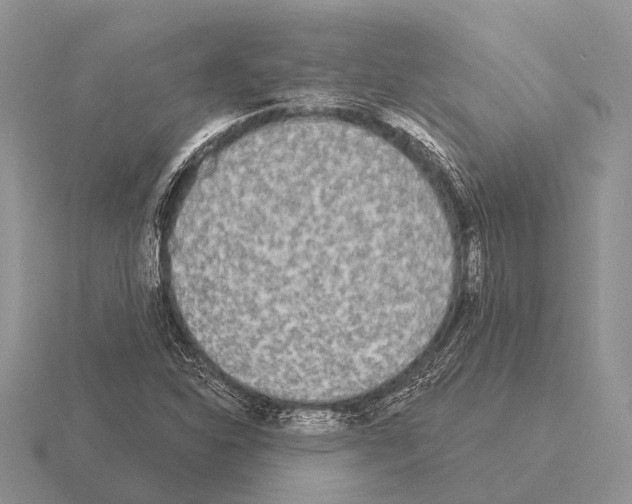 X0000115431310200912161426