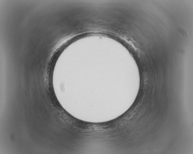 X0000115431311200912161426