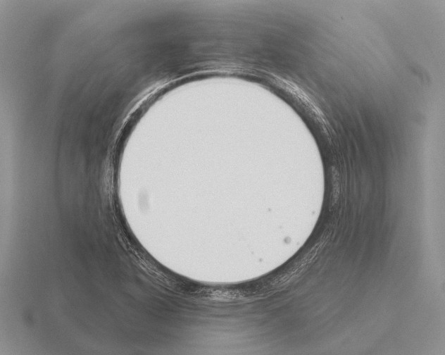 X0000115431318200912161426