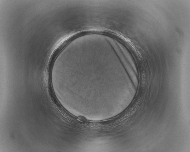 X0000115431319200912161426