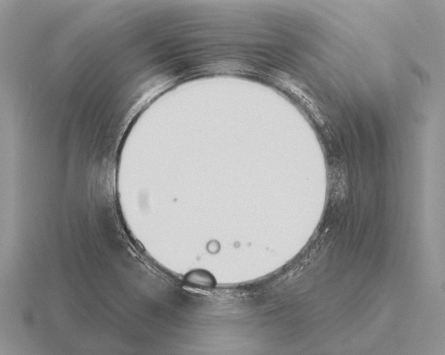 X0000115431322200912161426