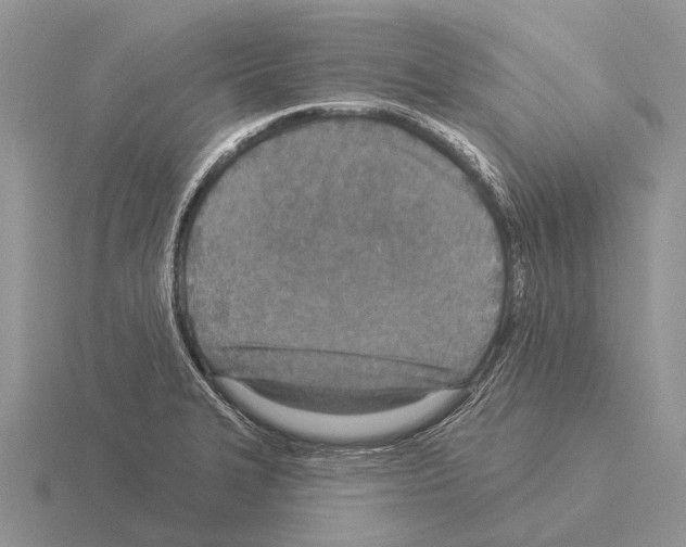 X0000115431327200912161426