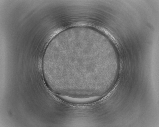 X0000115431329200912161426