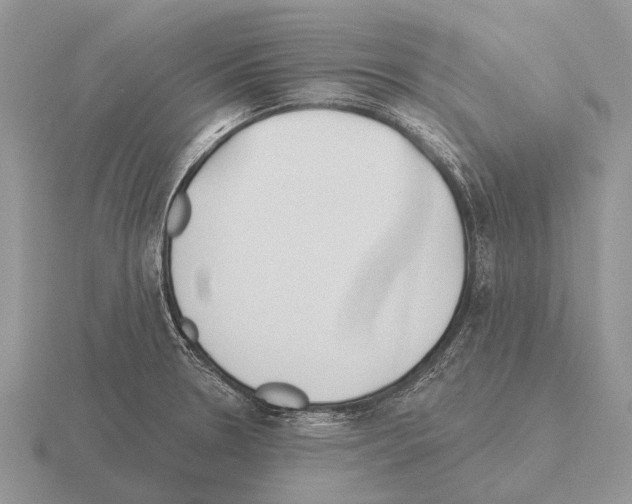 X0000115431330200912161426