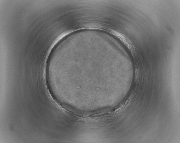 X0000115431331200912161426