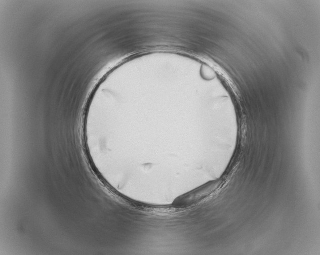 X0000115431333200912161426