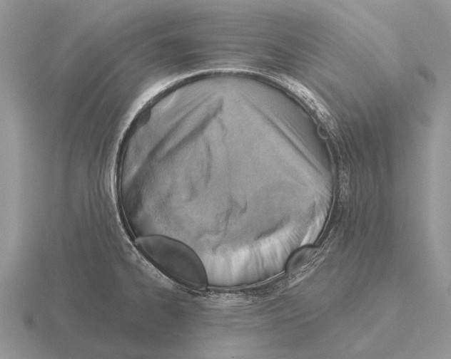 X0000115431334200912161426