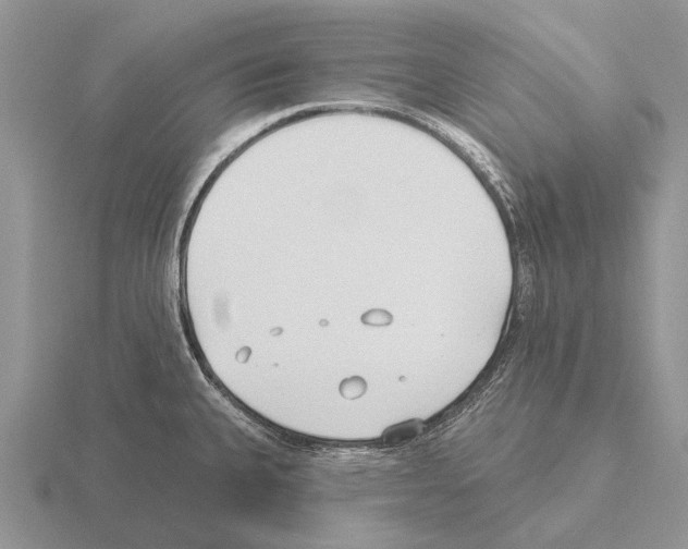 X0000115431335200912161426