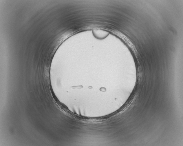 X0000115431337200912161426