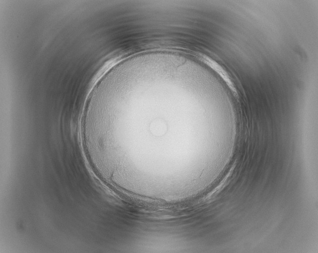 X0000115431338200912161426