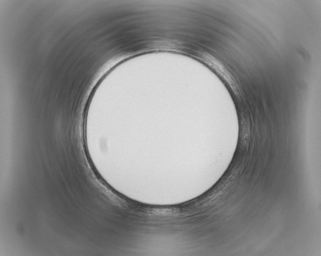 X0000115431339200912161426