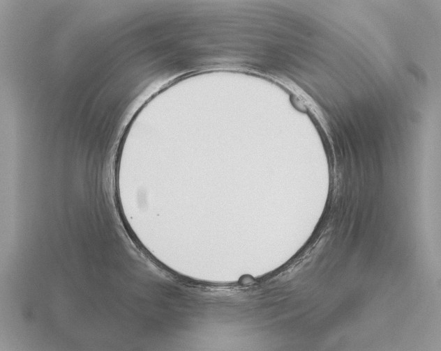 X0000115431341200912161426