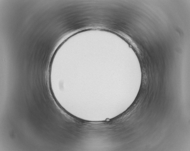 X0000115431343200912161426