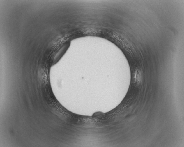 X0000115431348200912161426