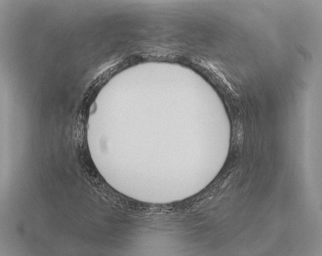 X0000115431350200912161426