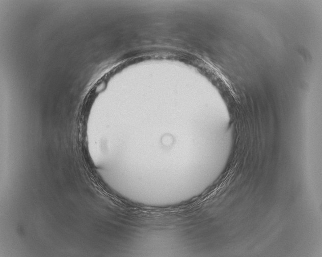 X0000115431352200912161426