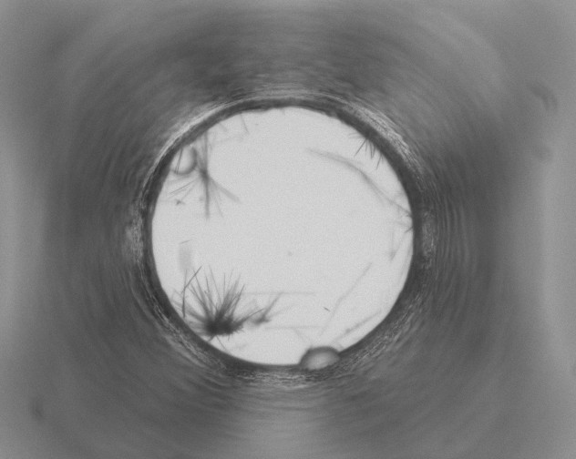 X0000115431356200912161425