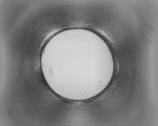 X0000115431358200912161425