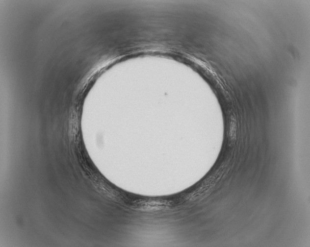 X0000115431359200912161425